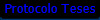 Protocolo Teses